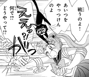 Manga panel from 美少女戦士セーラームーン showing example of Fight against the enemey with 戦う.